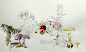 cours Croquis, Aquarelle et Encre Lyon